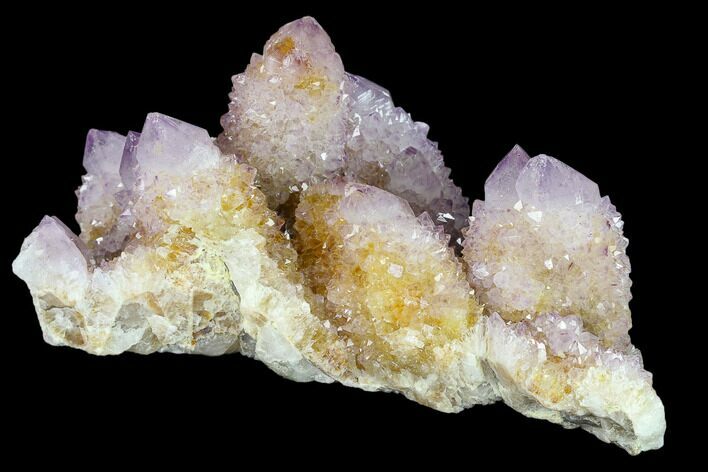 Cactus Quartz (Amethyst) Crystal Cluster - South Africa #134337